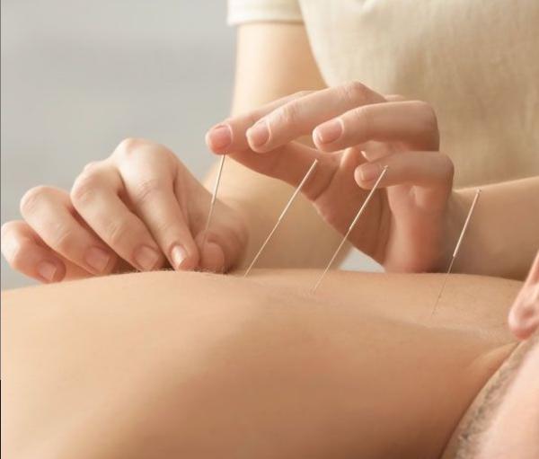 Image for Holistic Medical Brooklyn with ID of: 3371204