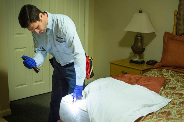 Image for 911 Bed Bugs with ID of: 3371684