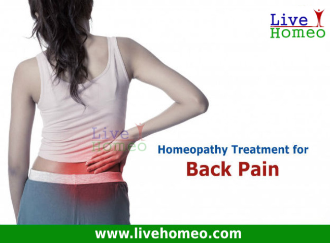 Image for Homeopathy Treatment for back pain with ID of: 3373080