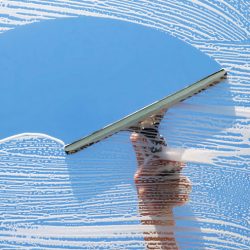 Image for Mr Clean Property Services | Red algae removal with ID of: 3373265
