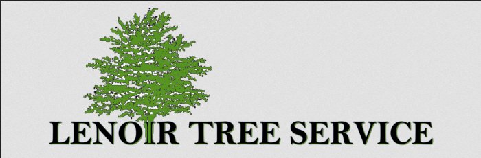 Image for Lenoir Tree Service with ID of: 3373687