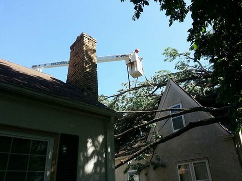 Image for Bratt Tree Company with ID of: 3374225