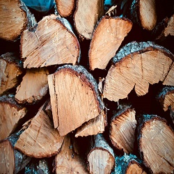Image for Orange County Stump Removal with ID of: 3375119