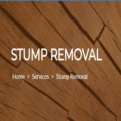 Image for Orange County Stump Removal with ID of: 3375120