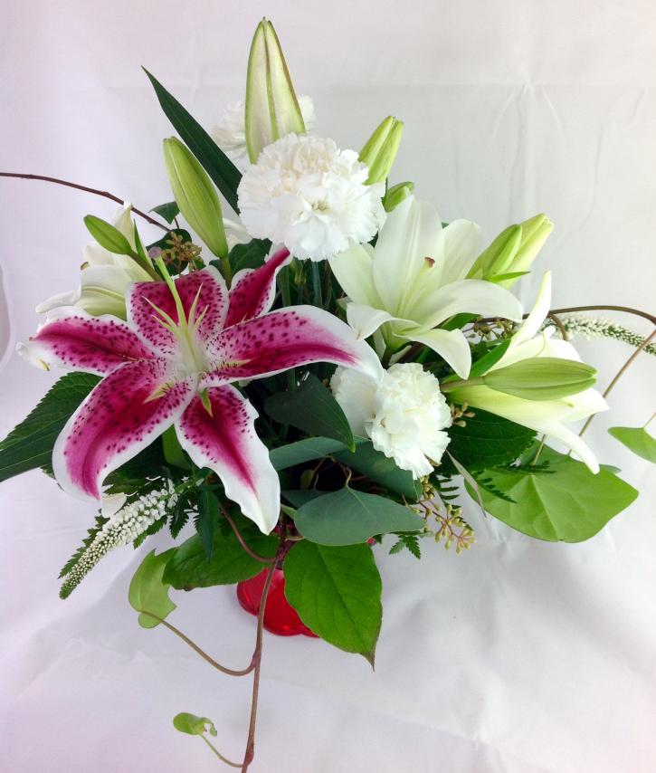 Image for Daly Floral Designs with ID of: 3375238