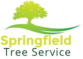 Image for Springfield Tree Service with ID of: 3375400