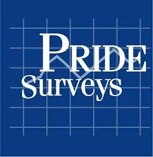 Image for Pride Surveys with ID of: 3376923