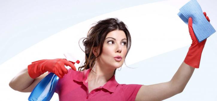 Image for Hanover Home Cleaning Pros with ID of: 3378151