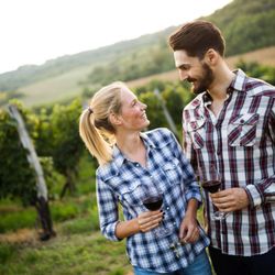 Image for Wine Hop Tours with ID of: 3379077