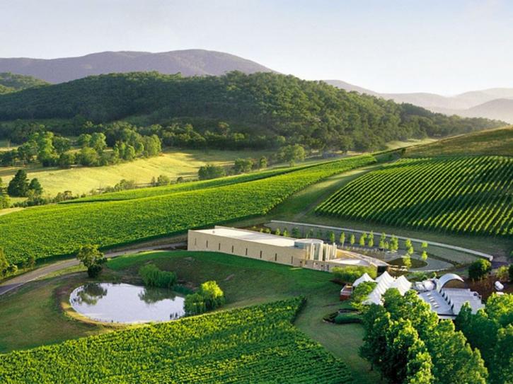 Image for Wine Hop Tours with ID of: 3379078