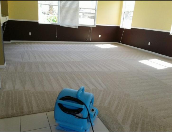 Image for Like New Carpet Care with ID of: 3379949