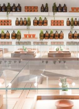 Image for The Botanist with ID of: 3380101