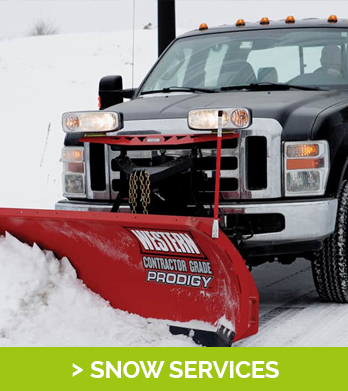 Image for Tree Service & Removal Bronx with ID of: 3380889
