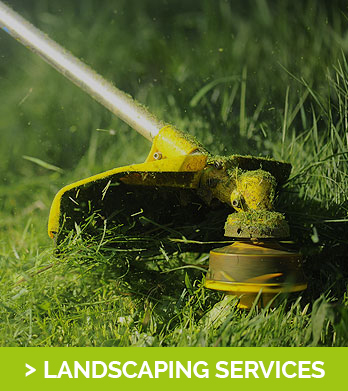Image for Tree Service & Removal Bronx with ID of: 3380892