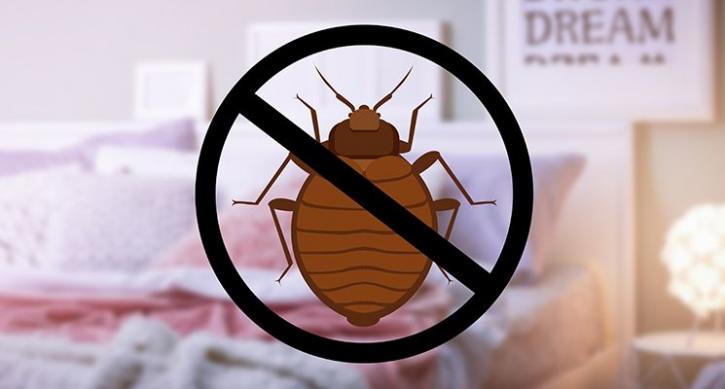Image for Factors to Consider Choosing The Right Bed Bugs Pest Control Service with ID of: 3381115