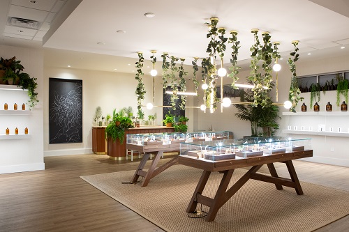 Image for The Botanist with ID of: 3381209