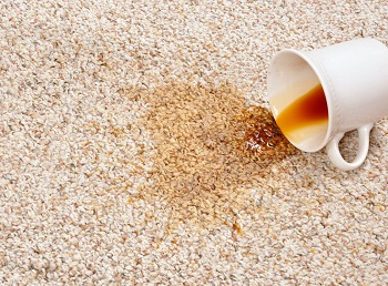Image for Pueblo Carpet Cleaning Pros with ID of: 3381624