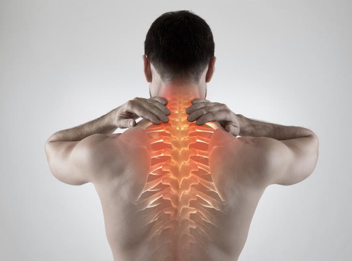 Image for Absolute Chiropractic & Wellness Centre with ID of: 3383055