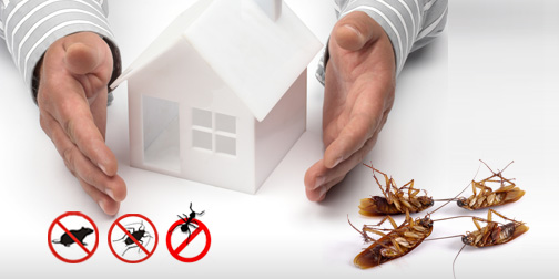 Image for Signs that you have a bed bug infestation Tips on Bed Bug Eradication with ID of: 3383352