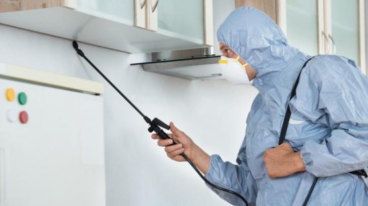 Image for 3 Tops Methods for Natural Pest Control with ID of: 3383364