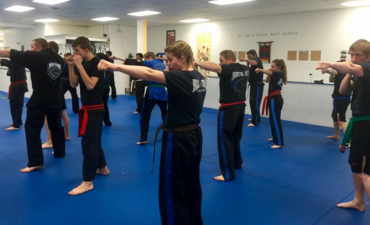 Image for New Era Martial Arts with ID of: 3383788