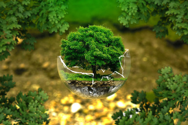 Image for Green Packaging Market Segmented by Size, Share, Trends, and Forecast to 2025 with ID of: 3384070