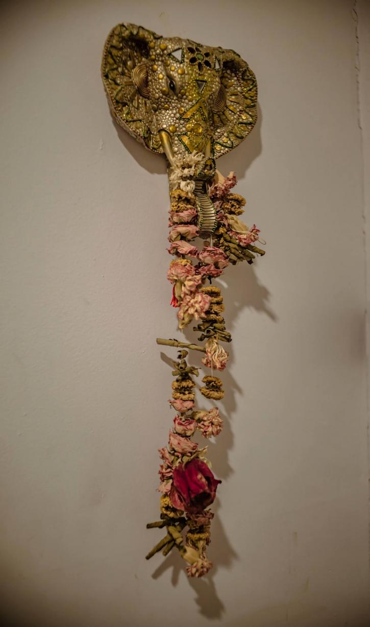 Image for Synergy Yoga Center with ID of: 3384946