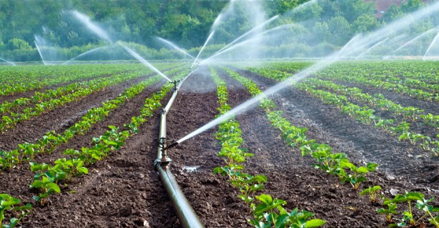 Image for Drip Irrigation Market, By Components, Crop Type, and Application, 2018-2026 with ID of: 3385639