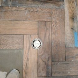 Image for Duplechians Floor & More with ID of: 3385727