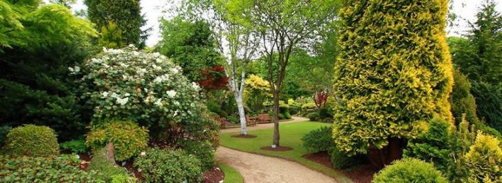 Image for S & J Tree Service with ID of: 3385959