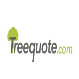 Image for TreeQuote with ID of: 3386523