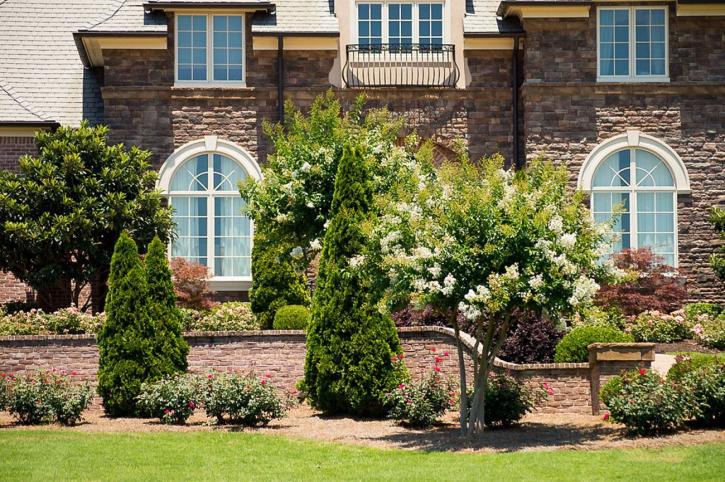 Image for Dalzell Design Landscaping with ID of: 3386576