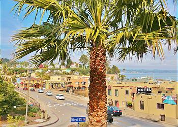 Image for Surf City Rentals with ID of: 3386917