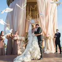 Image for Wedding Photographer with ID of: 3389110