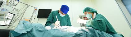 Image for Independent Autopsy Services with ID of: 3389129