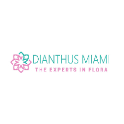 Image for Dianthus Miami with ID of: 3396377