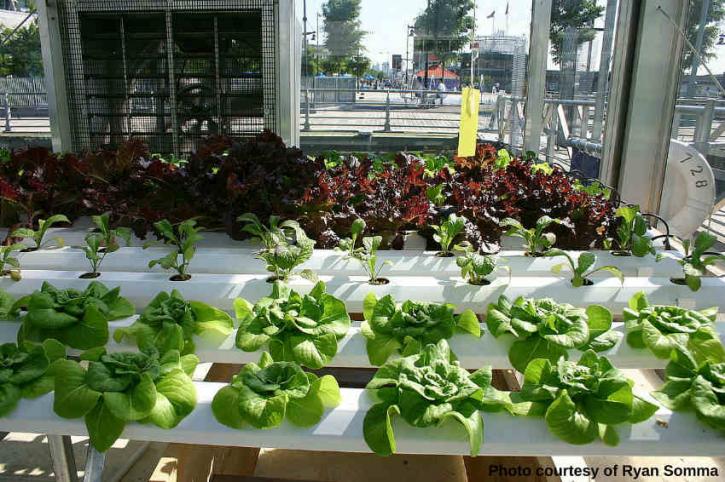 Image for Hydroponics Market Segmented by Equipment, System Type, Crop Type, and Input Type - Trends and Forecast till 2025 with ID of: 3397842
