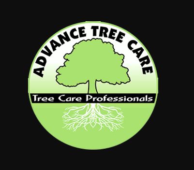 Image for Advance Tree Care Corp with ID of: 3399406