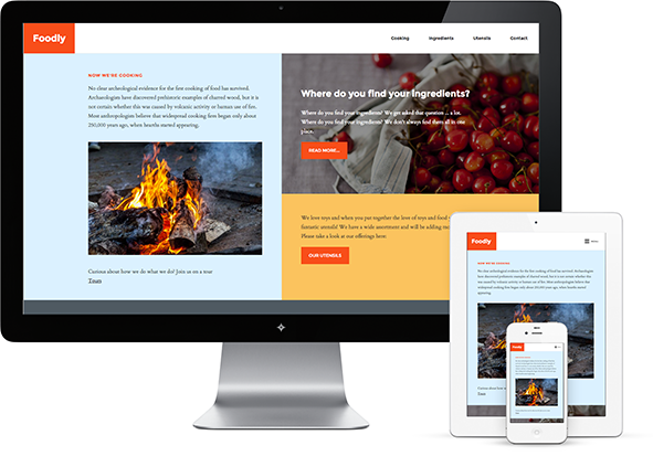 Image for Website Designing Services with Infia Global with ID of: 3400103