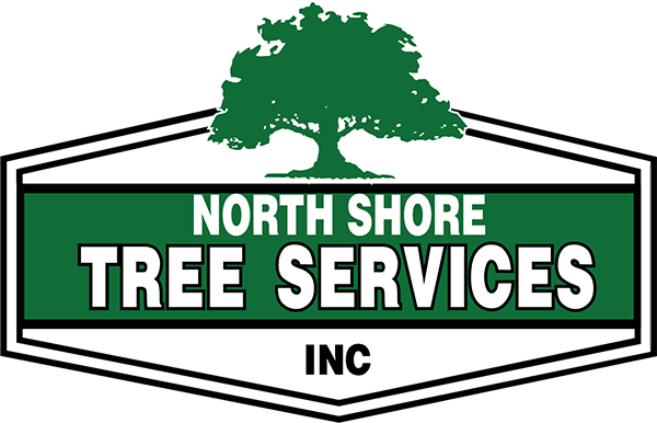 Image for Northshore Tree Services Inc. with ID of: 3400460