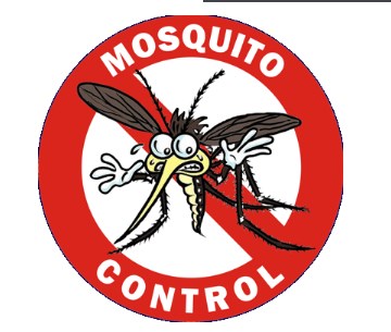 Image for Mosquito Guy with ID of: 3400663