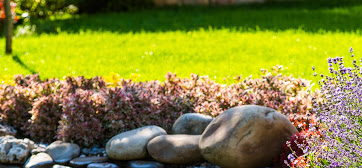 Image for Monster Lawn Service, LLC with ID of: 3400771
