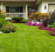 Image for Monster Lawn Service, LLC with ID of: 3400773