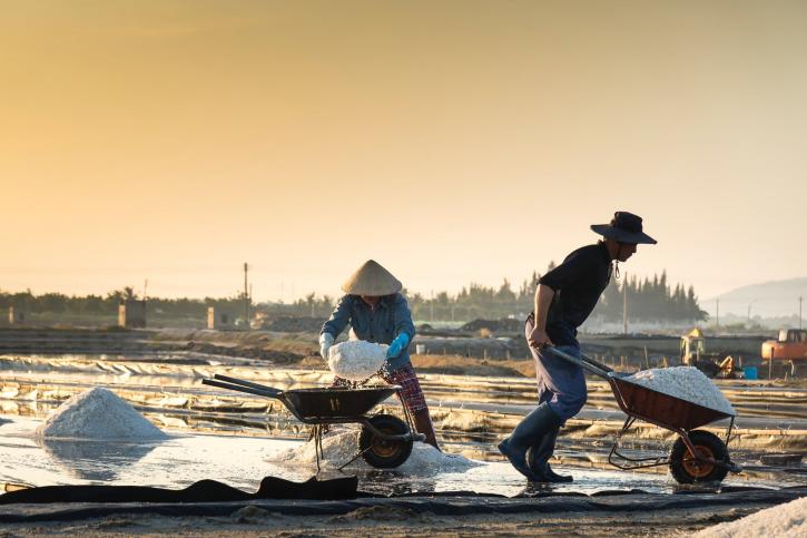Image for Global Salt Mining Market Characteristics | Size | Overview (2019-2022) with ID of: 3401957