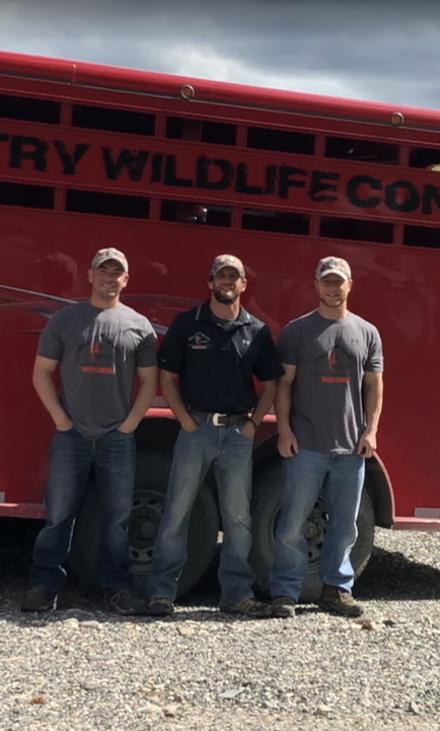 Image for High Country Wildlife Control with ID of: 3403528