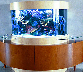 Image for Aquatech Aquarium Service with ID of: 3403928