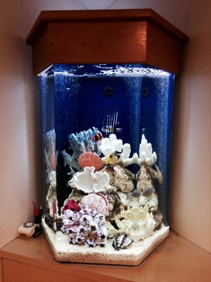 Image for Aquatech Aquarium Service with ID of: 3403929