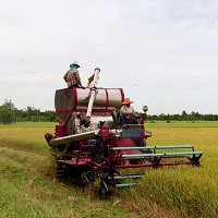 Image for Johnston's Tractor Service with ID of: 3404534