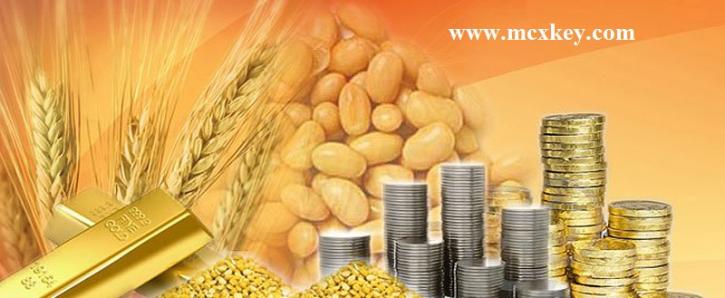 Image for Commodity Tips with ID of: 3405808