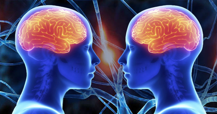 Image for Neuroscience Market - Size, Share and Growth Analysis 2018-2026 with ID of: 3405963